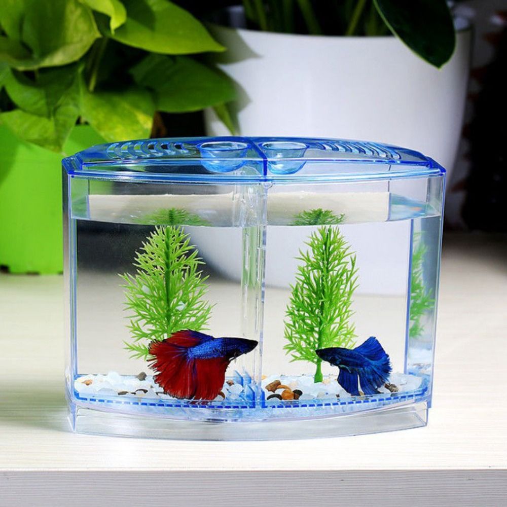 Aquarium Goldfish - Transparent Betta Fish Tank, Double-grid Rhombus