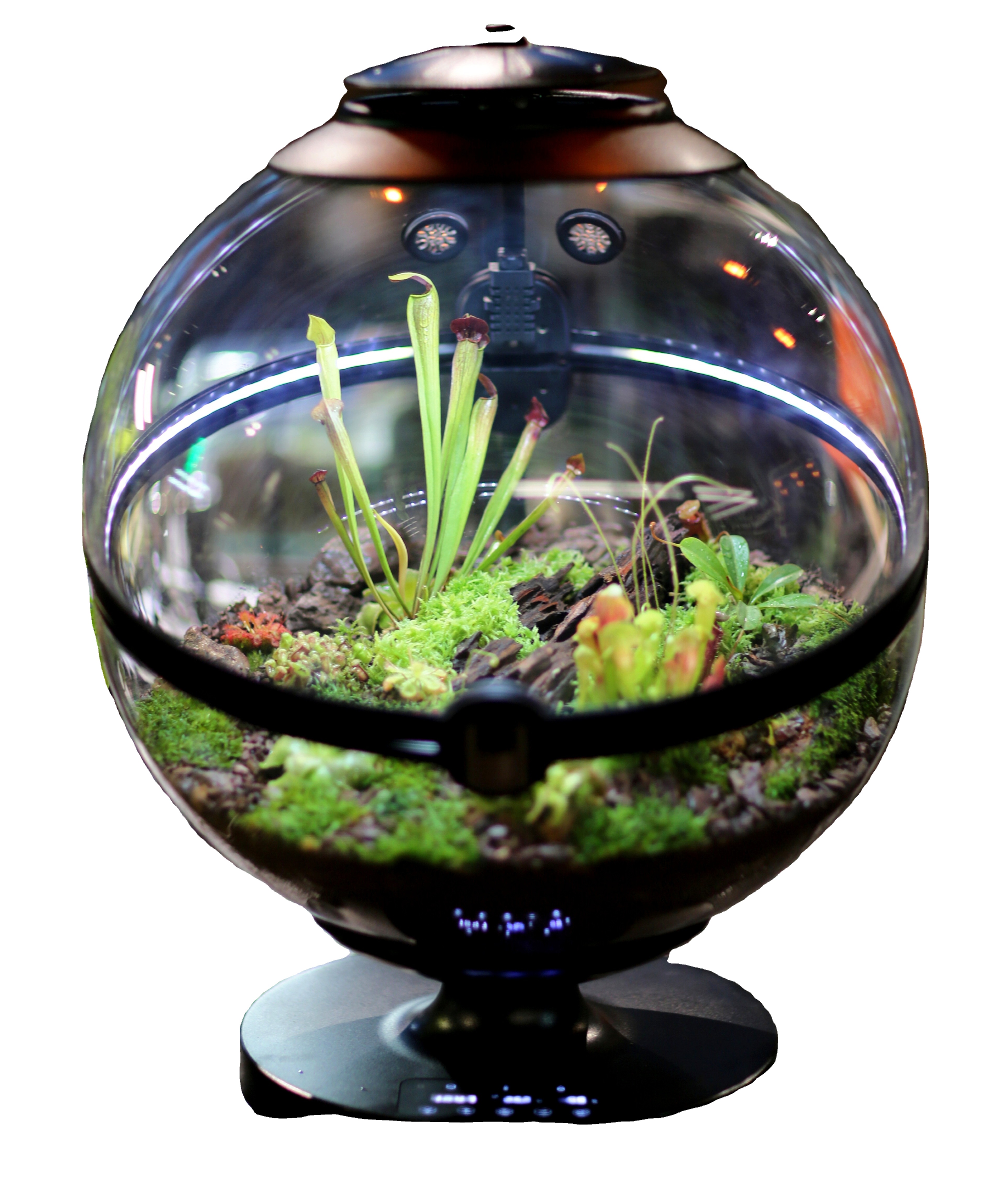Aquarium Fish Sale - Hot Sales Acrylic Material Ball Plant