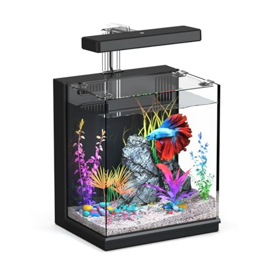 All Fish In Aquarium - Betta Fish Tank, 2 Gallon All-in-One