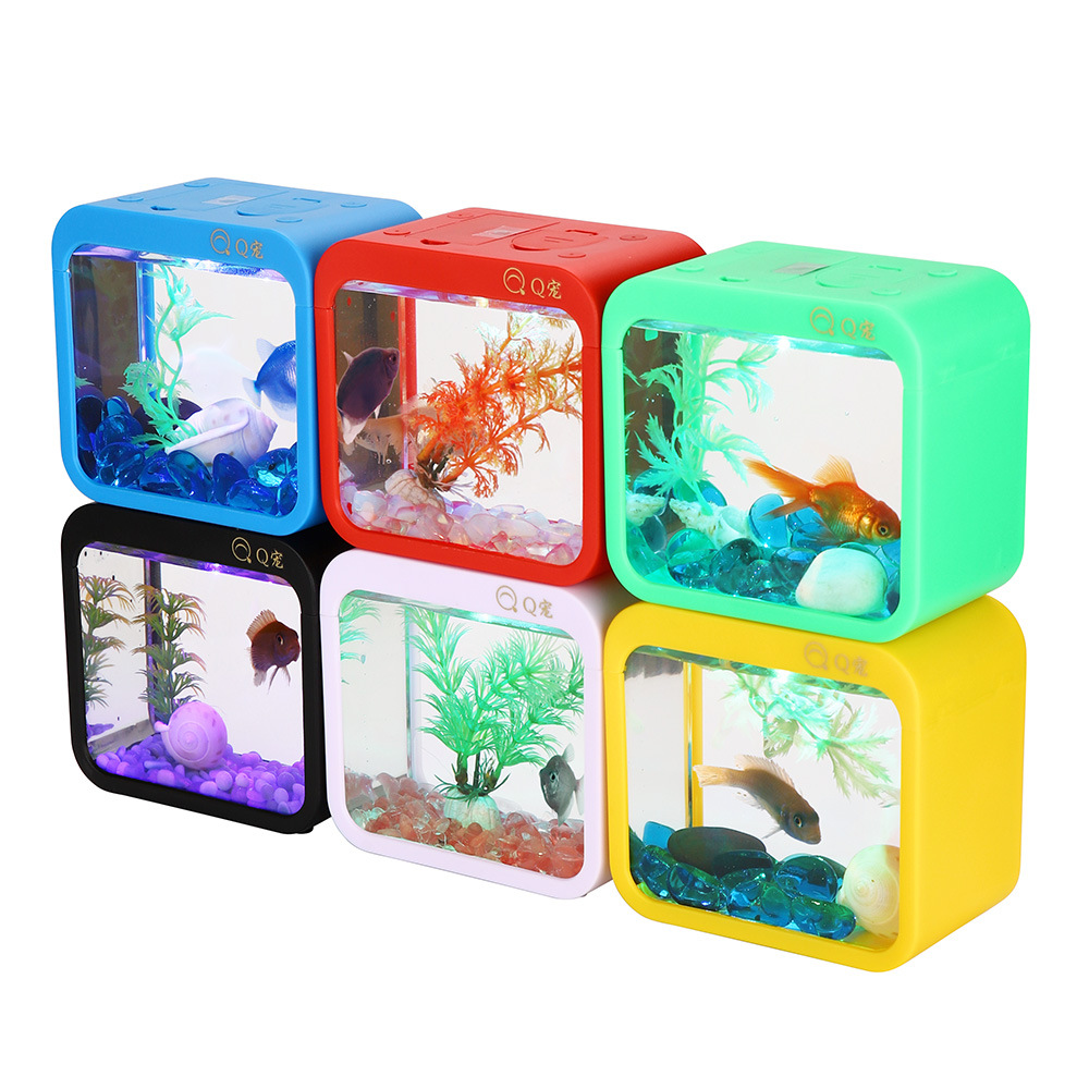 Colorful Creative Betta Box Wi - Aquarium Goldfish avis et prix