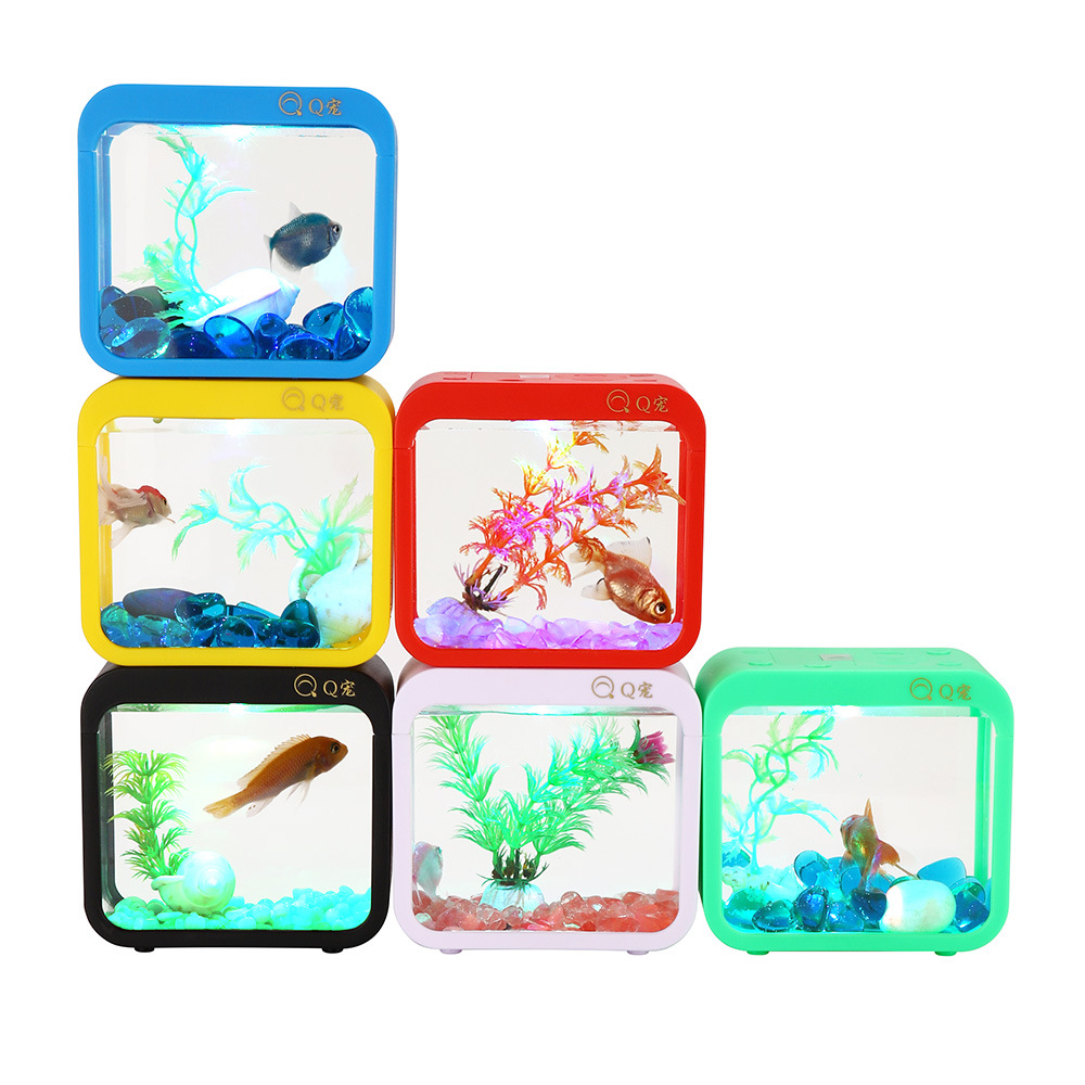 Colorful Creative Betta Box Wi - Aquarium Goldfish avis et prix