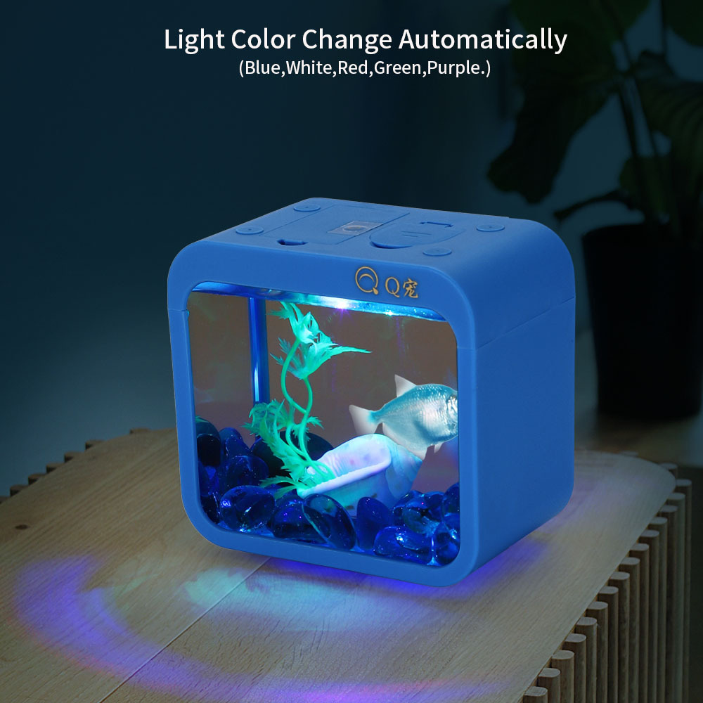 Colorful Creative Betta Box Wi - Aquarium Goldfish avis et prix