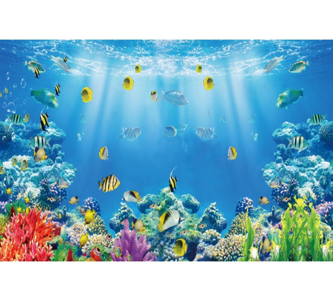 Underwater World Fish Coral Aq - Aquarium Fish World avis et prix