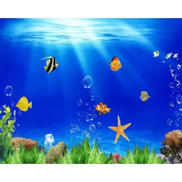 High Definition 3D Aquarium Ba - Aquarium Fish World avis et prix