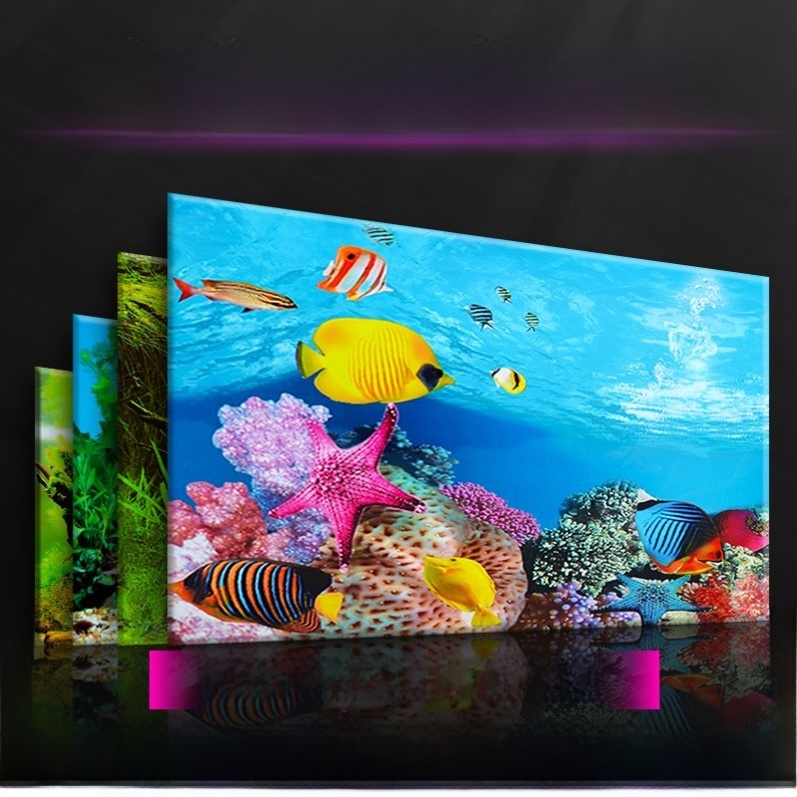 High Definition 3D Aquarium Ba - Aquarium Fish World avis et prix