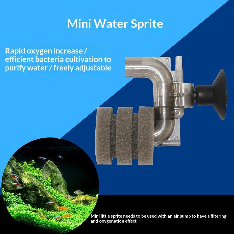 .Hot Sale-Mini Aquarium Sponge - Aquarium Fish Sale avis et prix