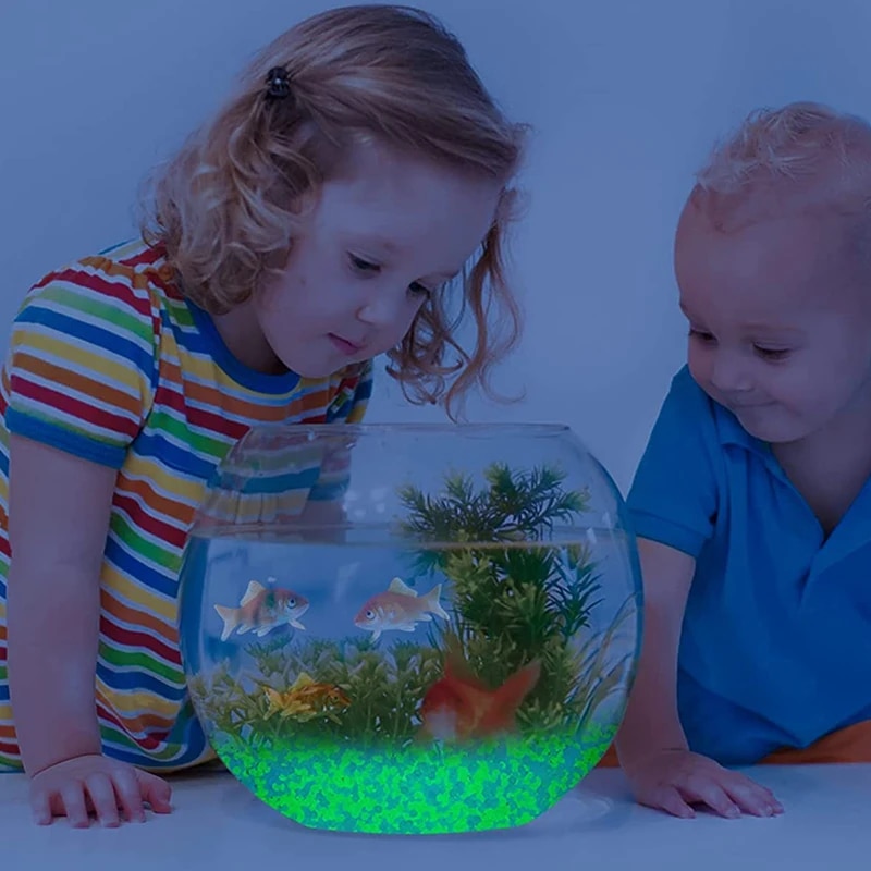 1000pcs 3-5mm Luminous Sand Gl - Aquarium Fish Names avis et prix