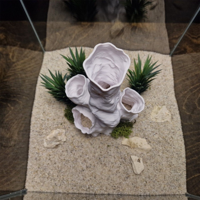 Hot Sale 3D Printed Coral Tunn - Aquarium Fish Sale avis et prix