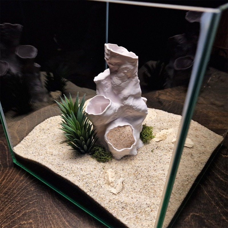 Hot Sale 3D Printed Coral Tunn - Aquarium Fish Sale avis et prix