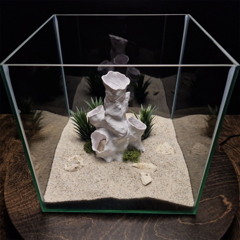 Hot Sale 3D Printed Coral Tunn - Aquarium Fish Sale avis et prix
