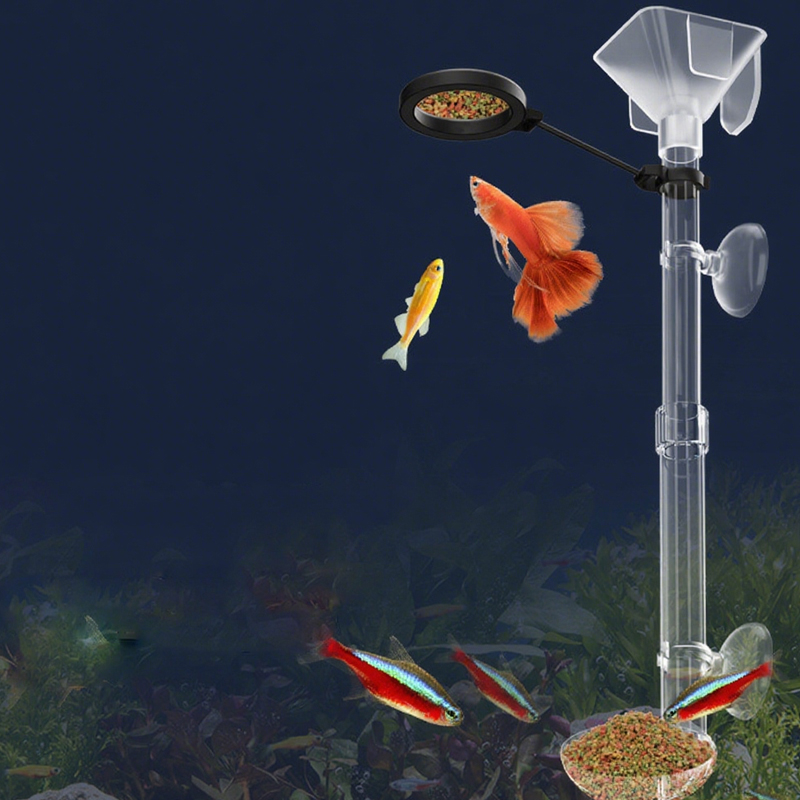 Acrylic Aquarium Fish Feeder T - Aquarium Fish Price avis et prix