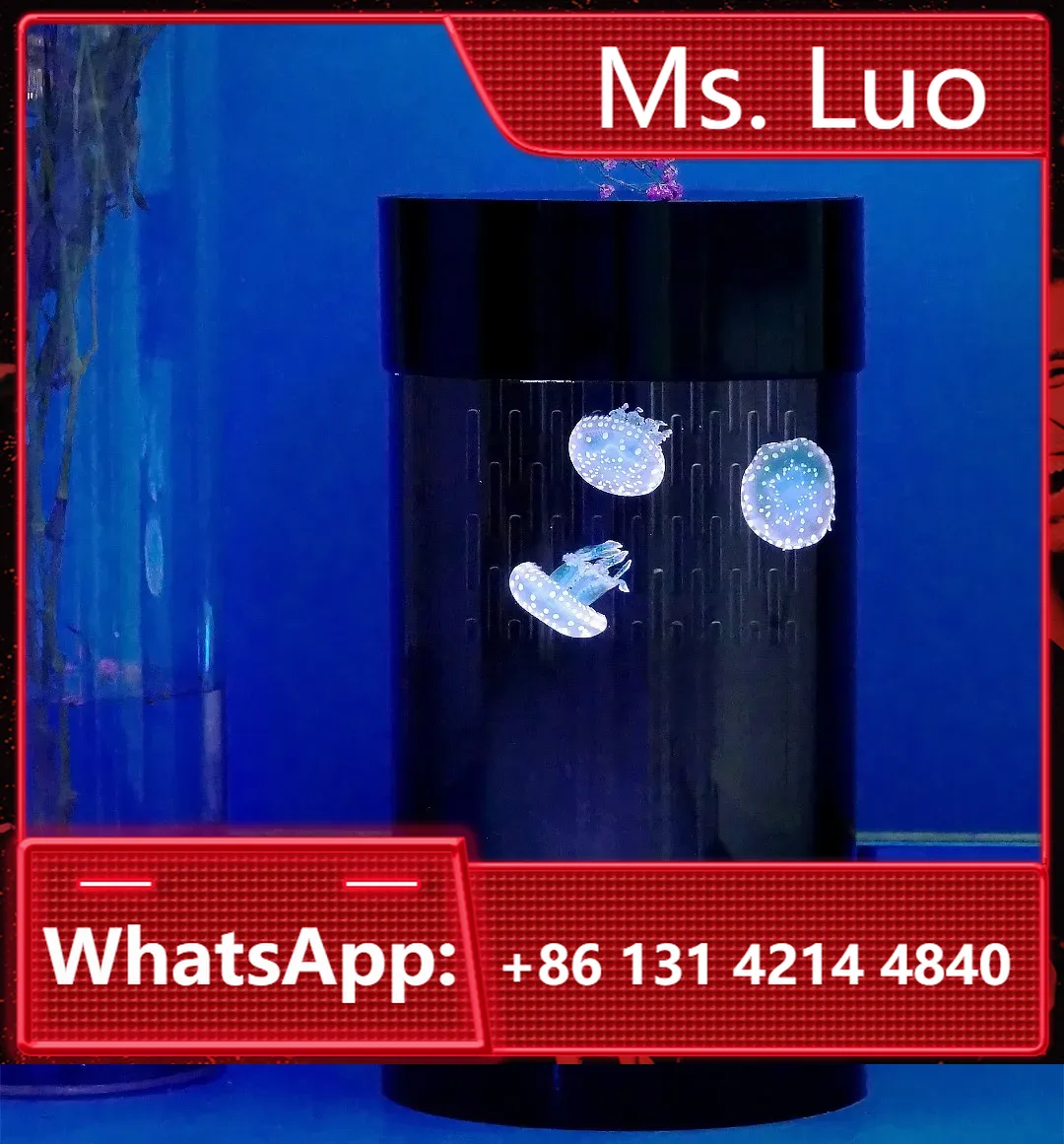 Best Amazon Sales Jellyfish Ta - Aquarium Fish In Amazon avis et prix