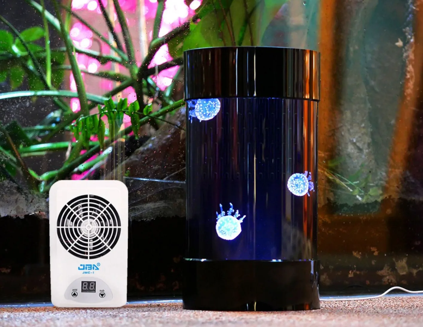 Best Amazon Sales Jellyfish Ta - Aquarium Fish In Amazon avis et prix