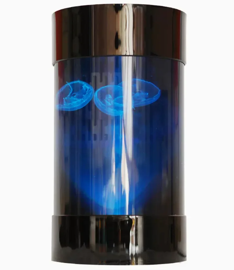 Best Amazon Sales Jellyfish Ta - Aquarium Fish In Amazon avis et prix
