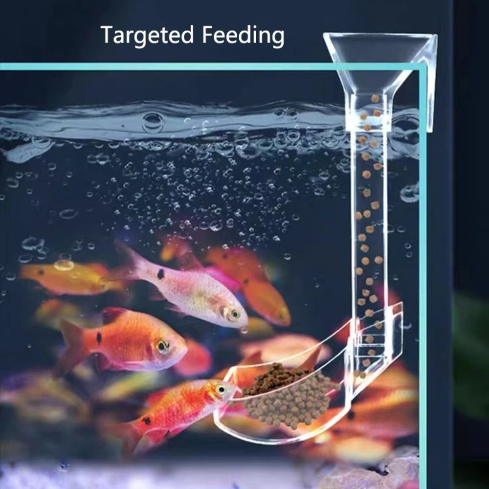 Transparent Aquarium Fish Tank - Aquarium Fish Price avis et prix