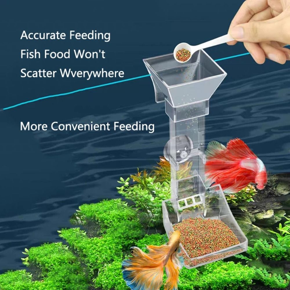 Transparent Aquarium Fish Tank - Aquarium Fish Price avis et prix