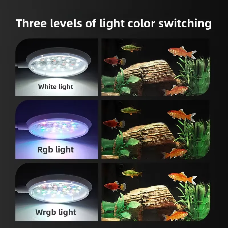 Professional LED Clip-on Aquar - All Fish In Aquarium avis et prix