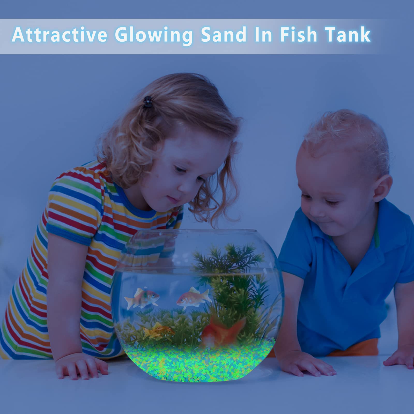 1000Pcs Luminous Sand Glow In  - Aquarium Fish Names avis et prix