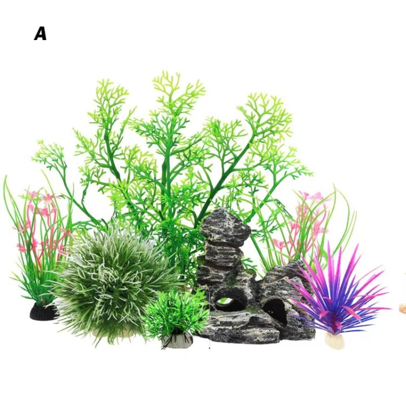 10pcs Hot Selling New Arrival  - Aquarium Fish Sale avis et prix