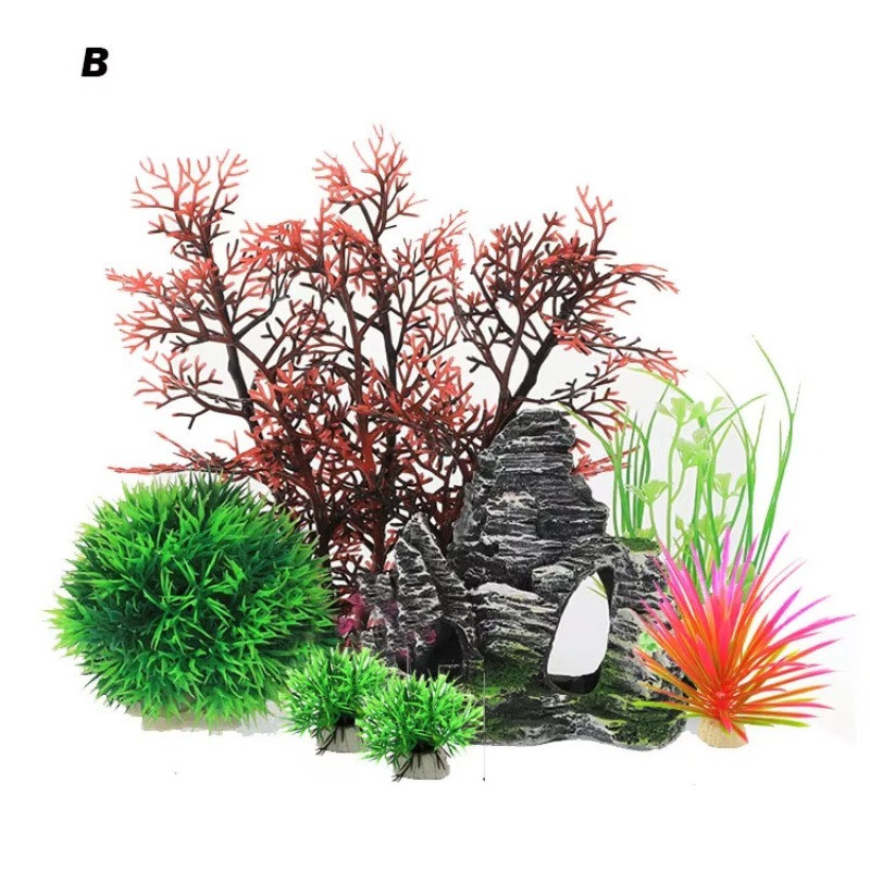 10pcs Hot Selling New Arrival  - Aquarium Fish Sale avis et prix
