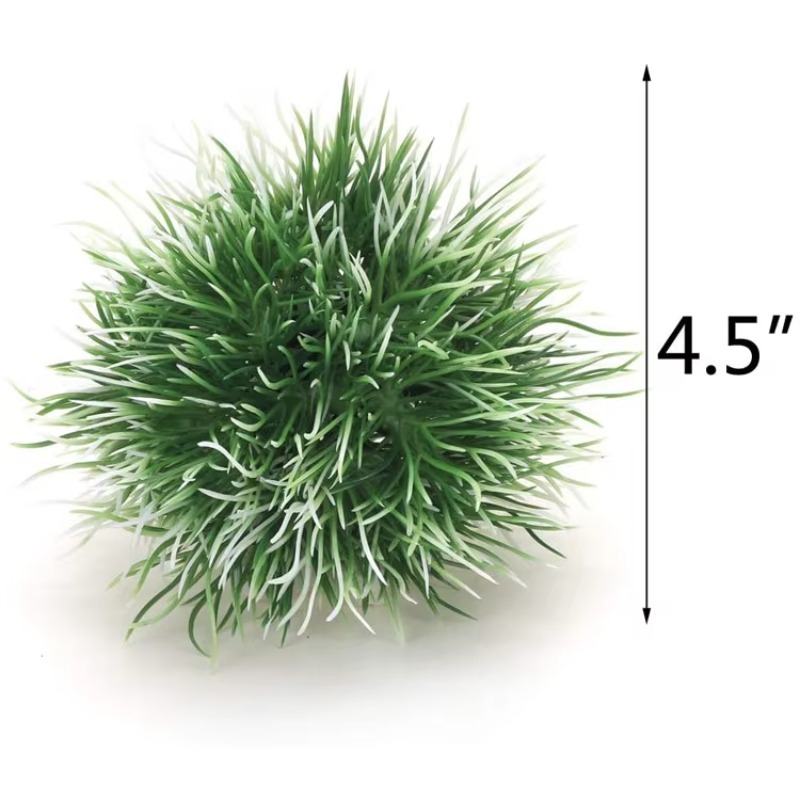 10pcs Hot Selling New Arrival  - Aquarium Fish Sale avis et prix
