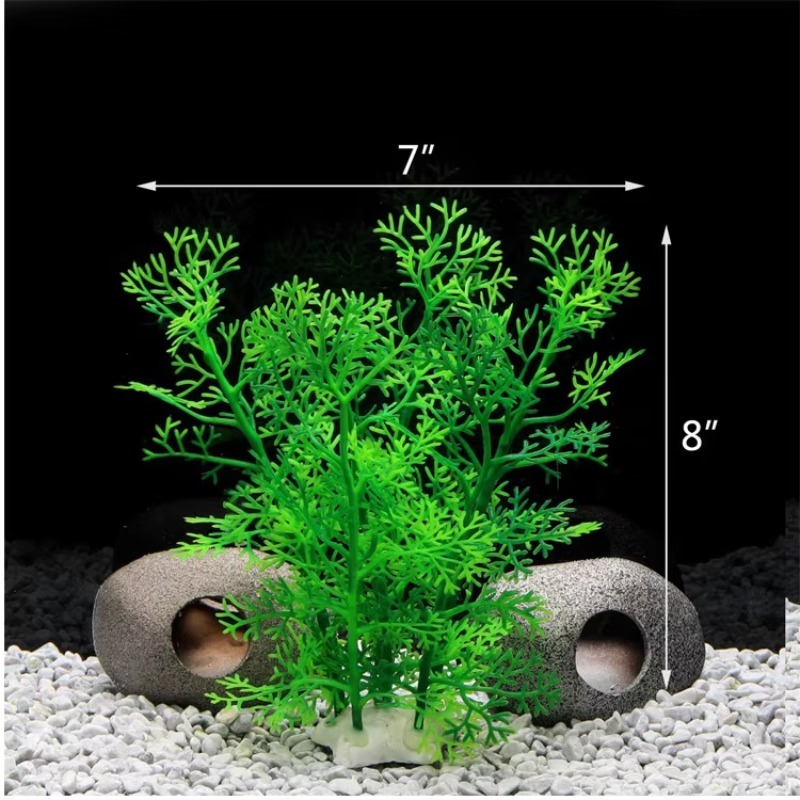 10pcs Hot Selling New Arrival  - Aquarium Fish Sale avis et prix