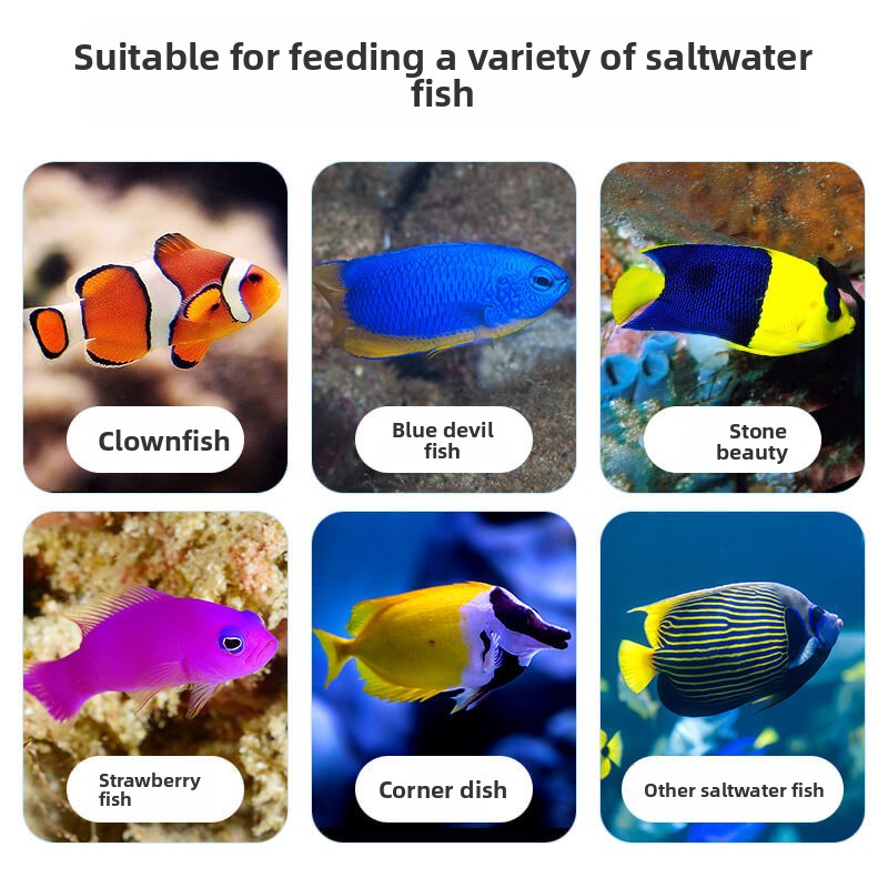 DEERA Clownfish & Tang Food |  - All Fish In Aquarium avis et prix