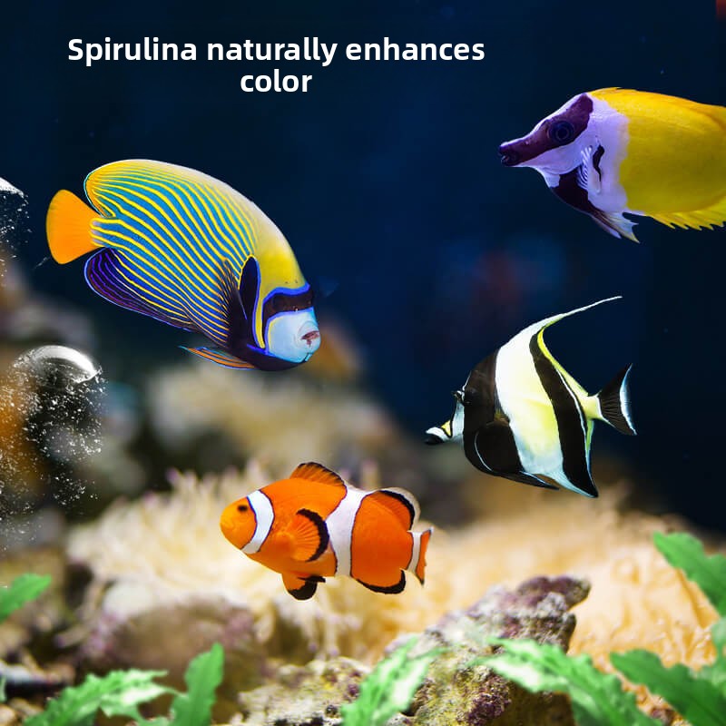 DEERA Clownfish & Tang Food |  - All Fish In Aquarium avis et prix