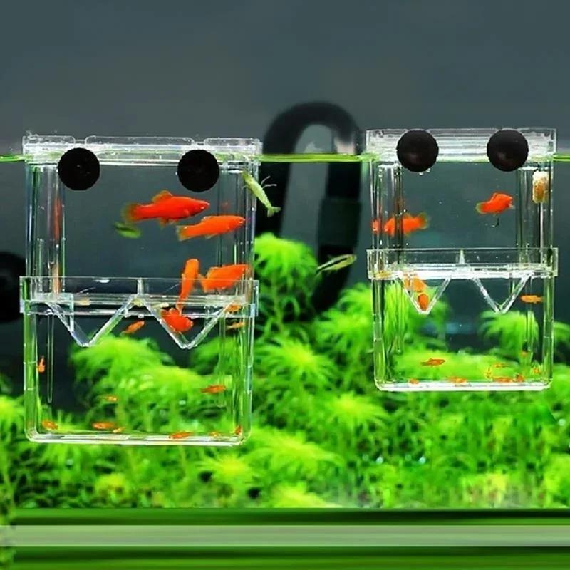 Transparent Fish Aquarium High - Aquarium Fish In Bowl avis et prix