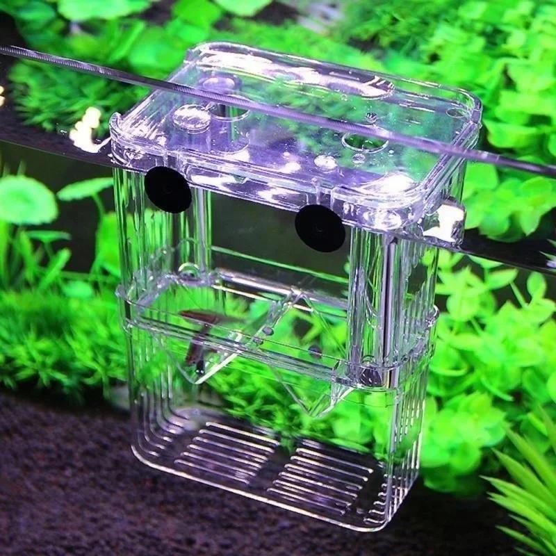 Transparent Fish Aquarium High - Aquarium Fish In Bowl avis et prix