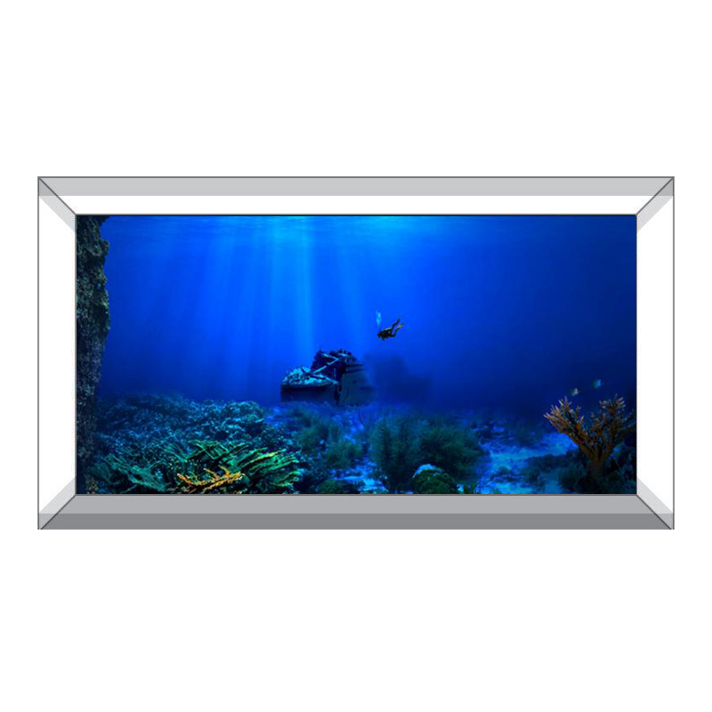 Fish Tank Background Decorativ - Aquarium Fish World avis et prix