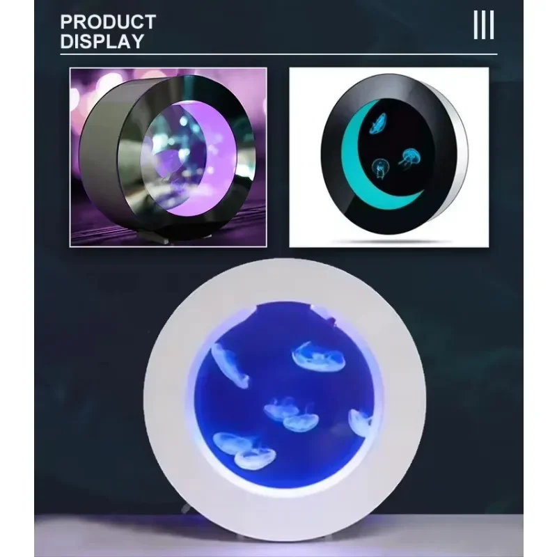 Gold Seller O-shaped Jellyfish - All Fish In Aquarium avis et prix