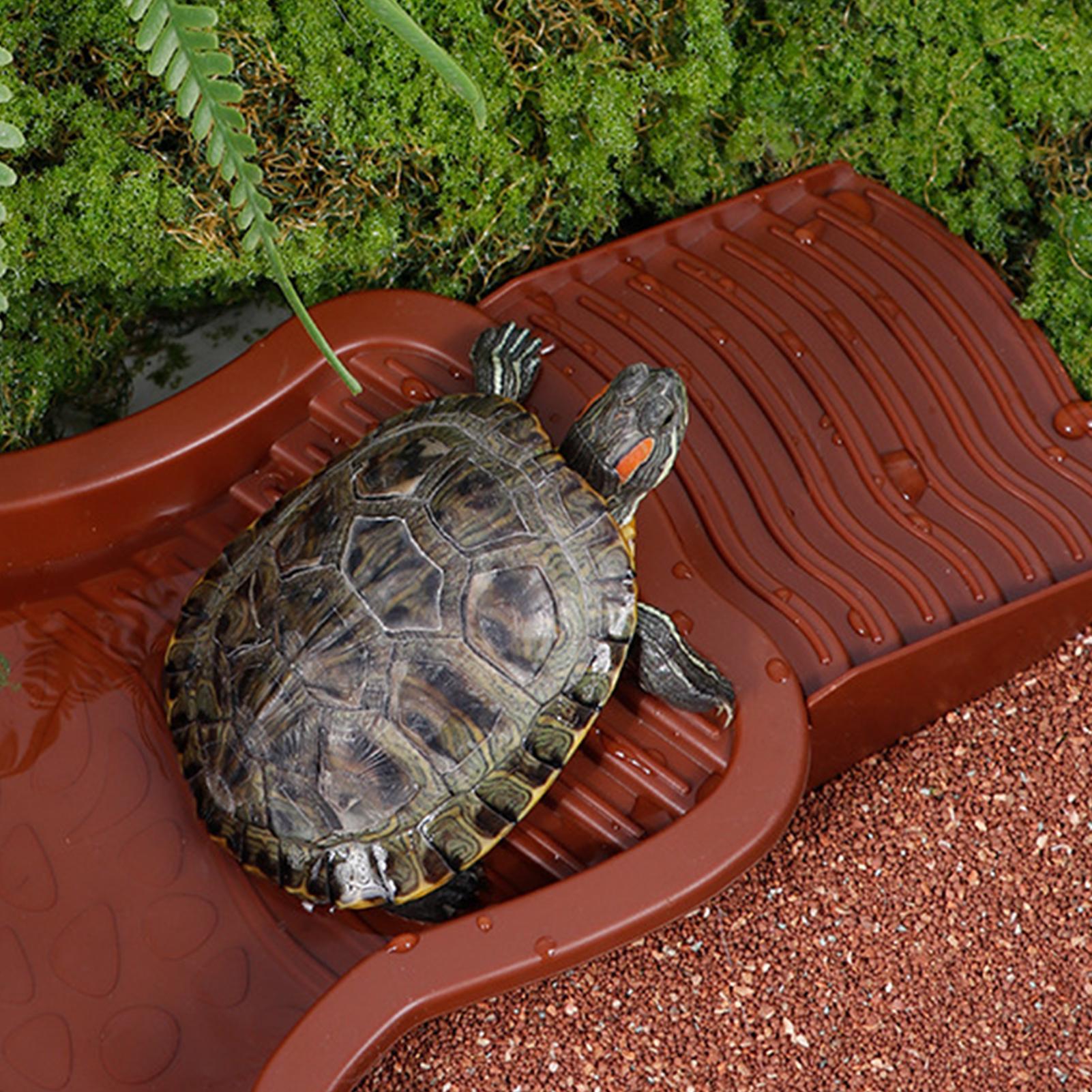 Reptile Bathing Pool Aquarium  - Aquarium Fish In Bowl avis et prix
