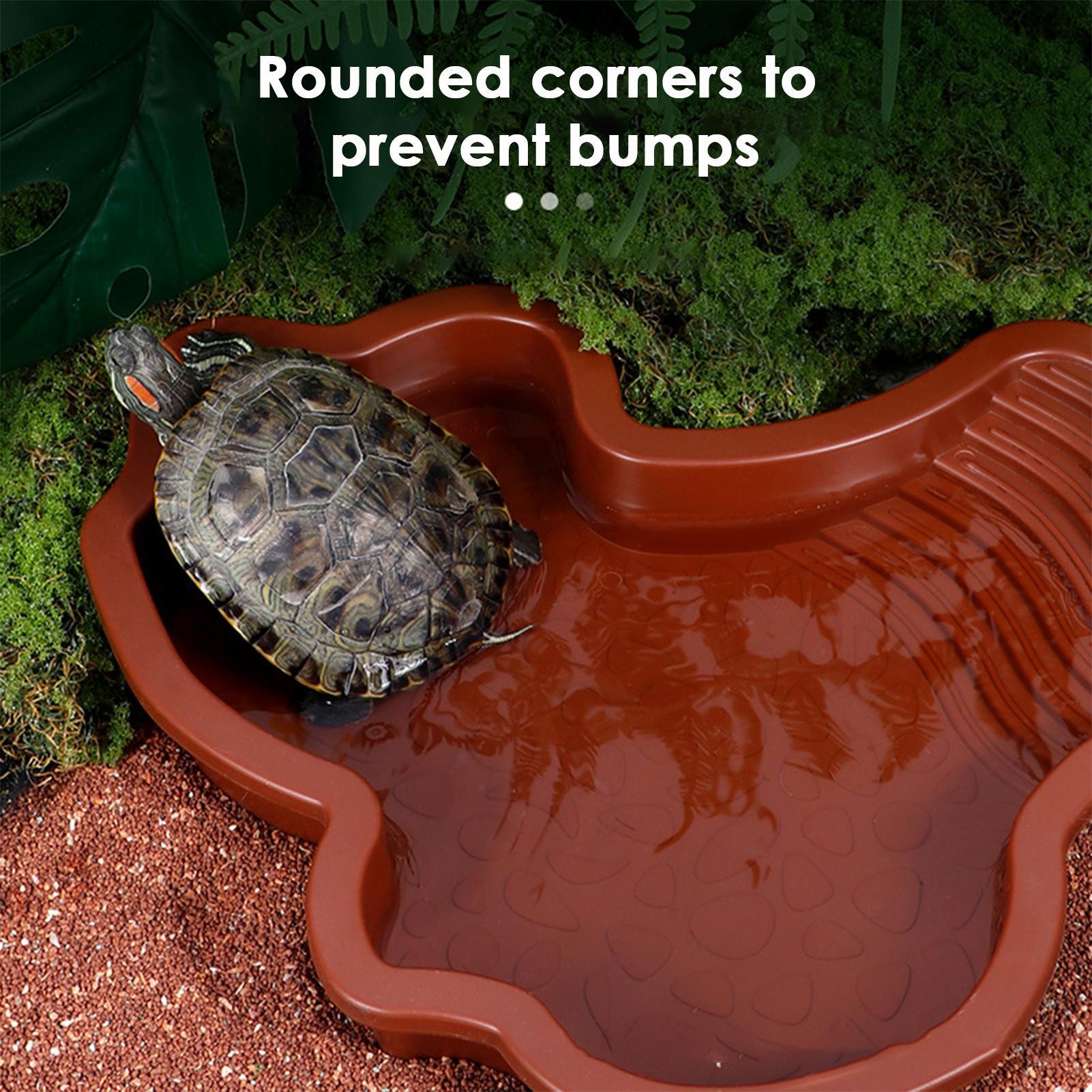 Reptile Bathing Pool Aquarium  - Aquarium Fish In Bowl avis et prix