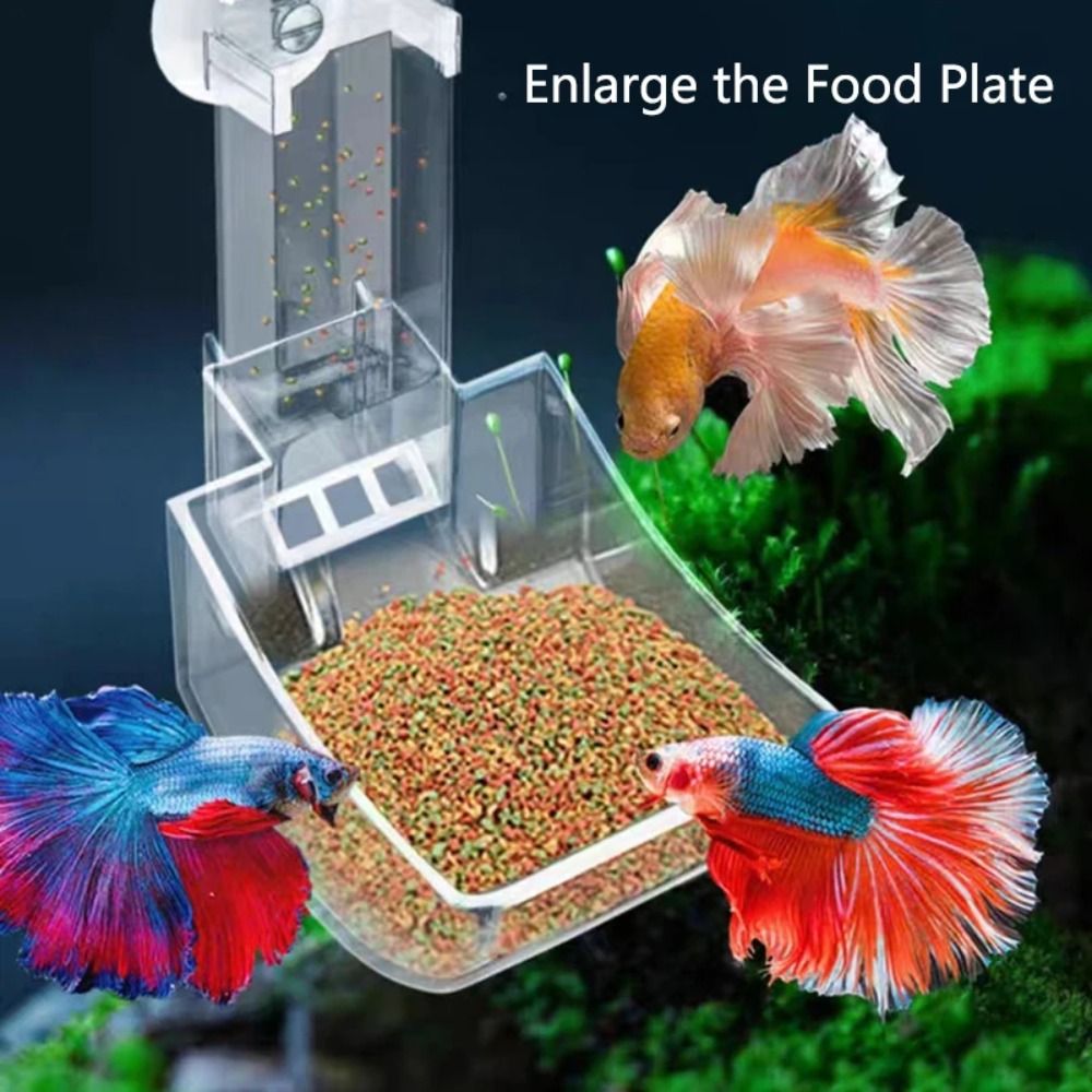 Transparent Aquarium Fish Tank - Aquarium Fish Price avis et prix