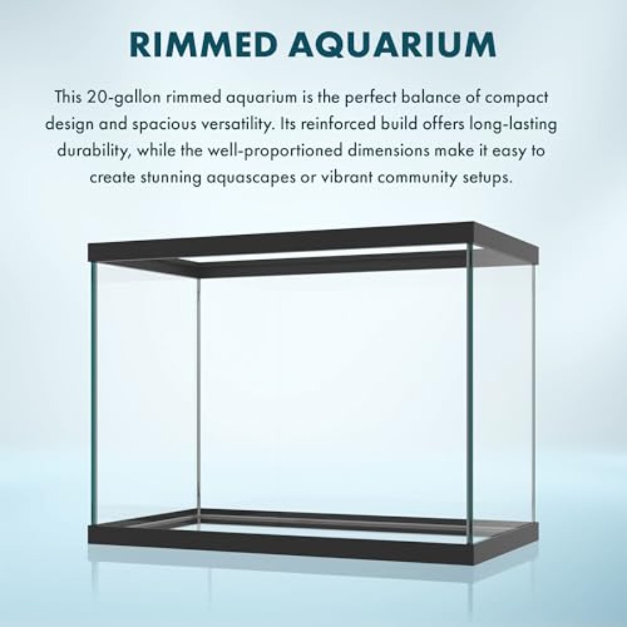 20 Gallon Glass Aquarium - 24  - Aquarium Goldfish avis et prix