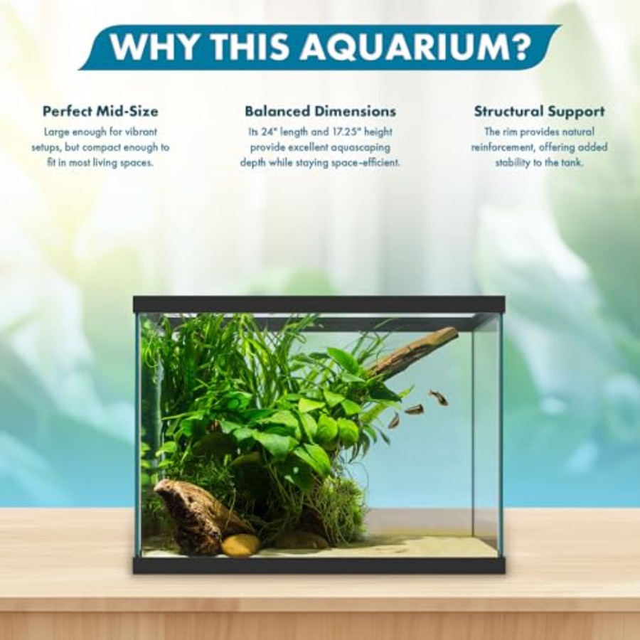 20 Gallon Glass Aquarium - 24  - Aquarium Goldfish avis et prix