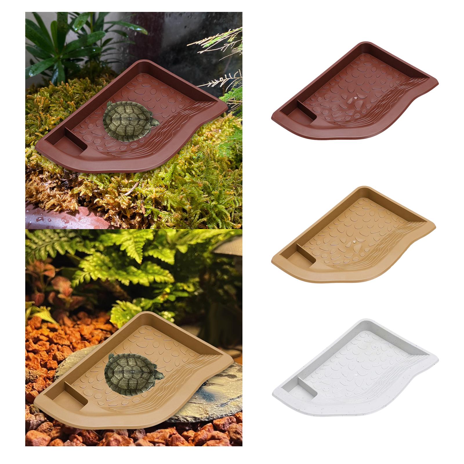 Reptile Pool Water Dish, Torto - Aquarium Fish In Bowl avis et prix