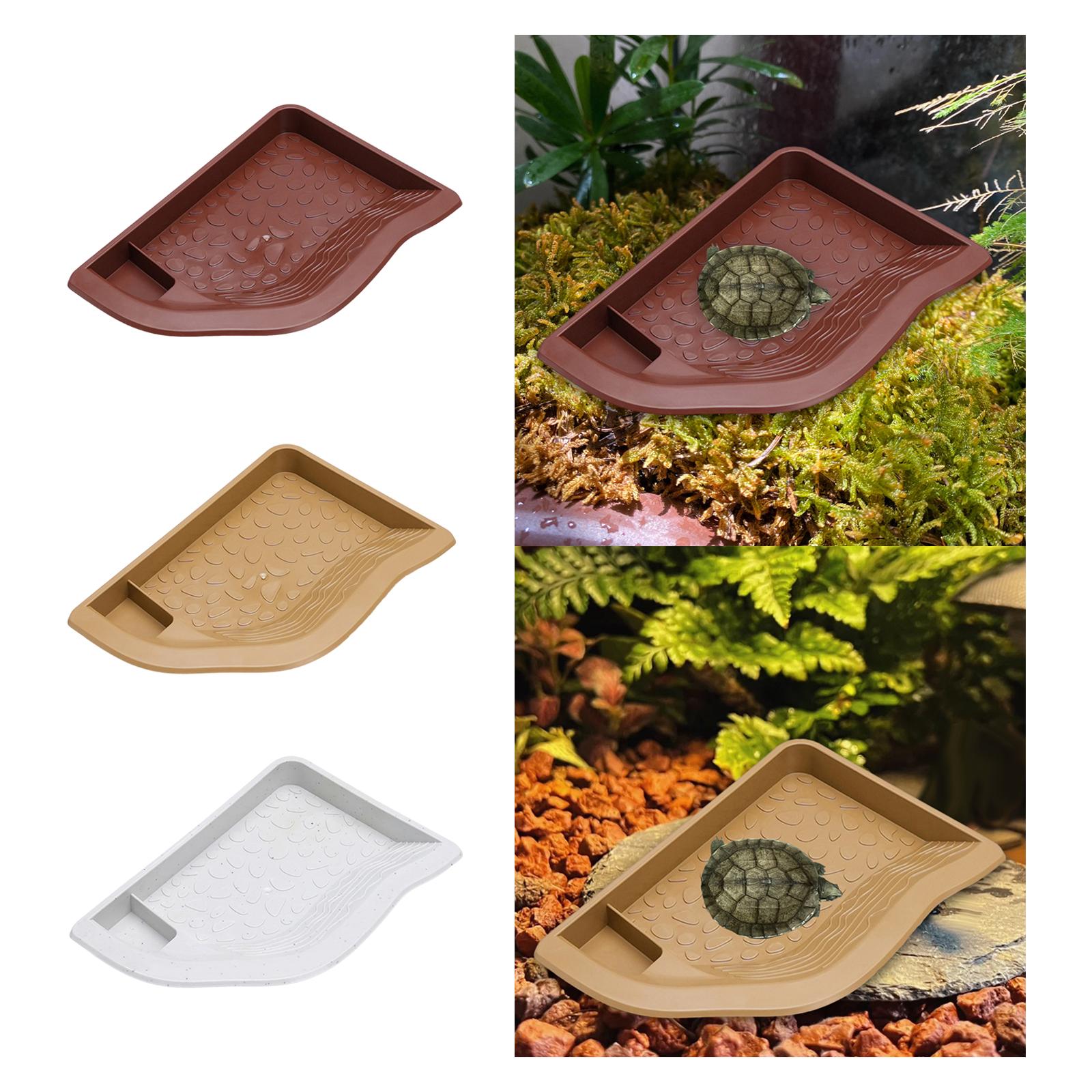 Reptile Pool Water Dish, Torto - Aquarium Fish In Bowl avis et prix