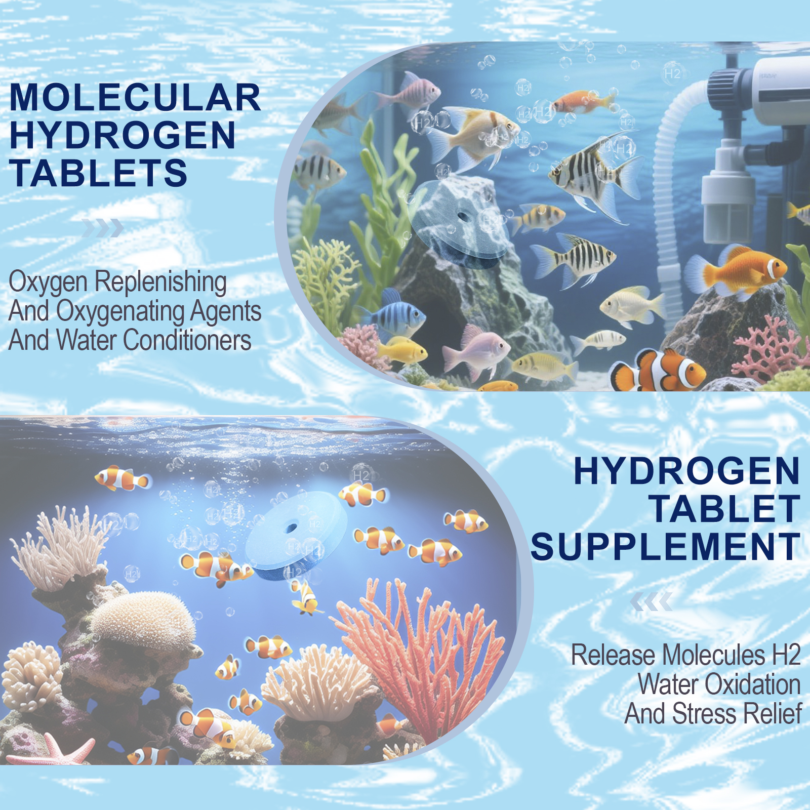 AquaH2 Molecular Hydrogen Tabl - All Fish In Aquarium avis et prix