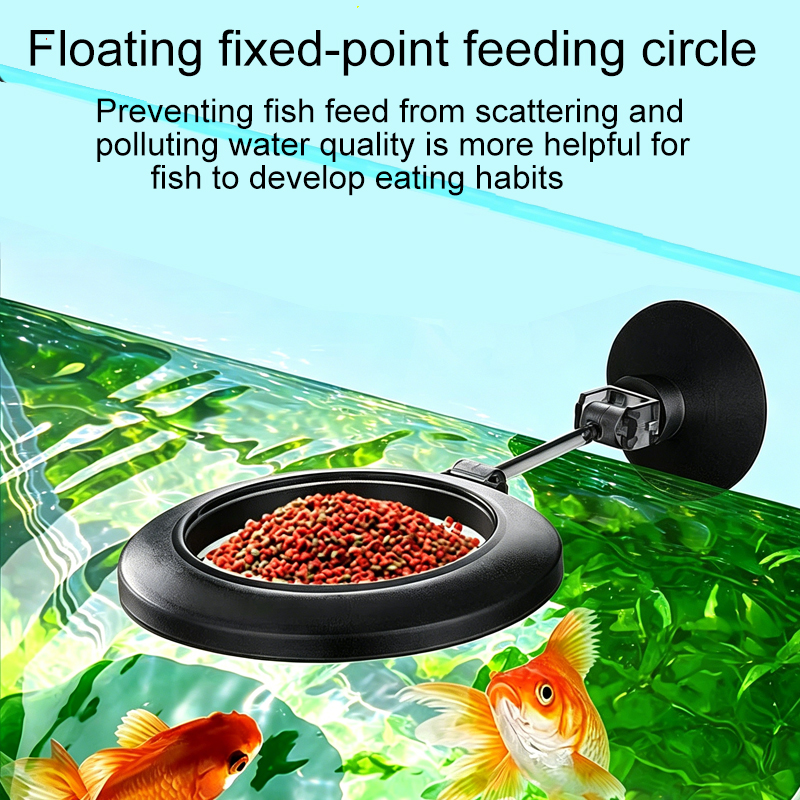 Acrylic Aquarium Fish Feeder T - Aquarium Fish Price avis et prix