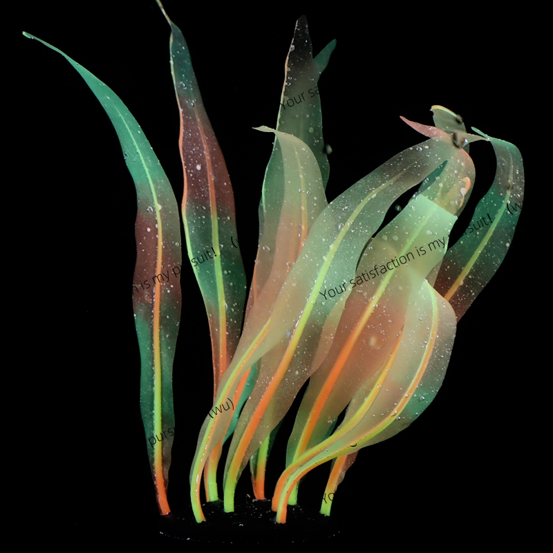 Simulated Kelp Plant Decoratio - Aquarium Fish World avis et prix