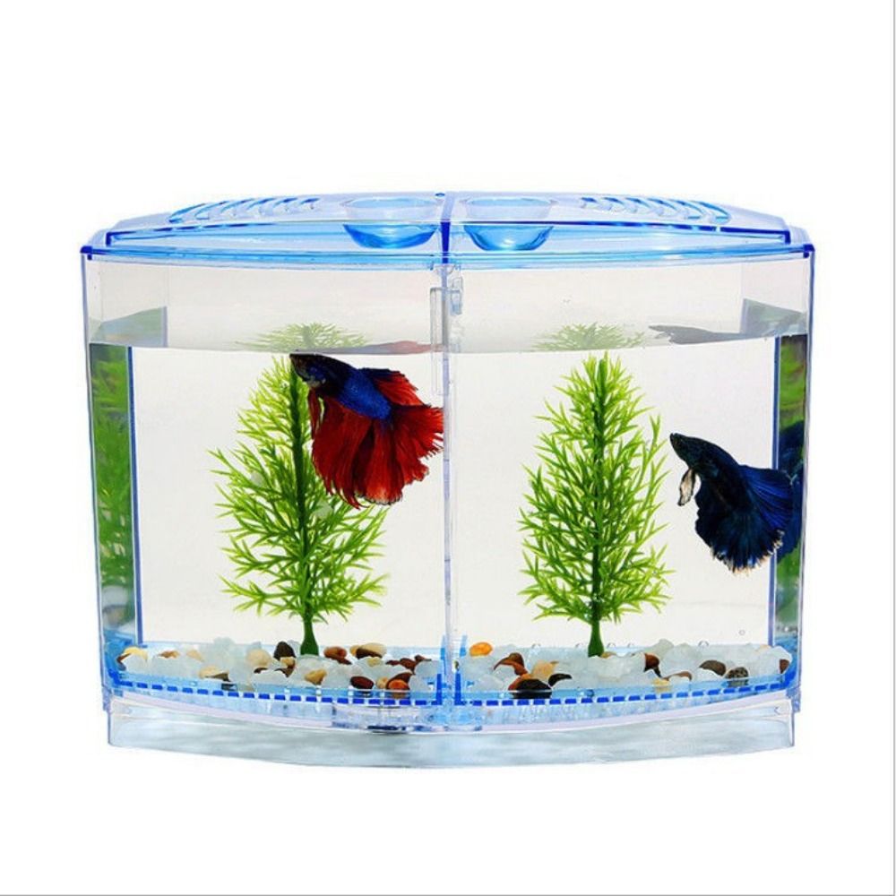Transparent Betta Fish Tank, D - Aquarium Goldfish avis et prix