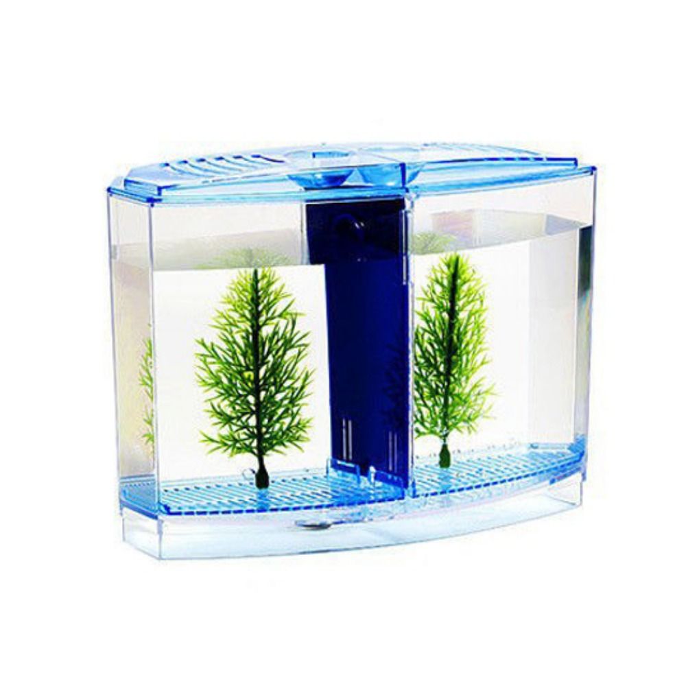 Transparent Betta Fish Tank, D - Aquarium Goldfish avis et prix