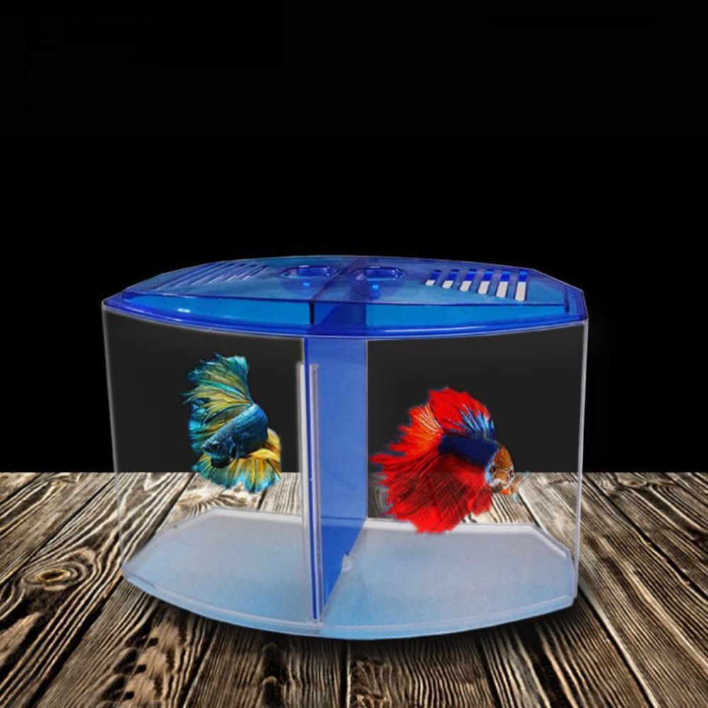 Transparent Betta Fish Tank, D - Aquarium Goldfish avis et prix