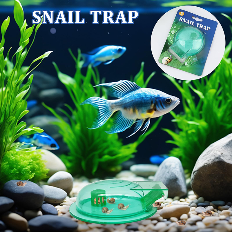 Aquarium Snail Trap, Plastic S - Aquarium Fish Green avis et prix