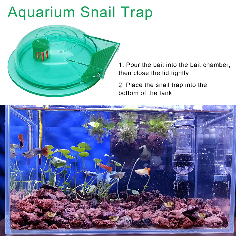 Aquarium Snail Trap, Plastic S - Aquarium Fish Green avis et prix