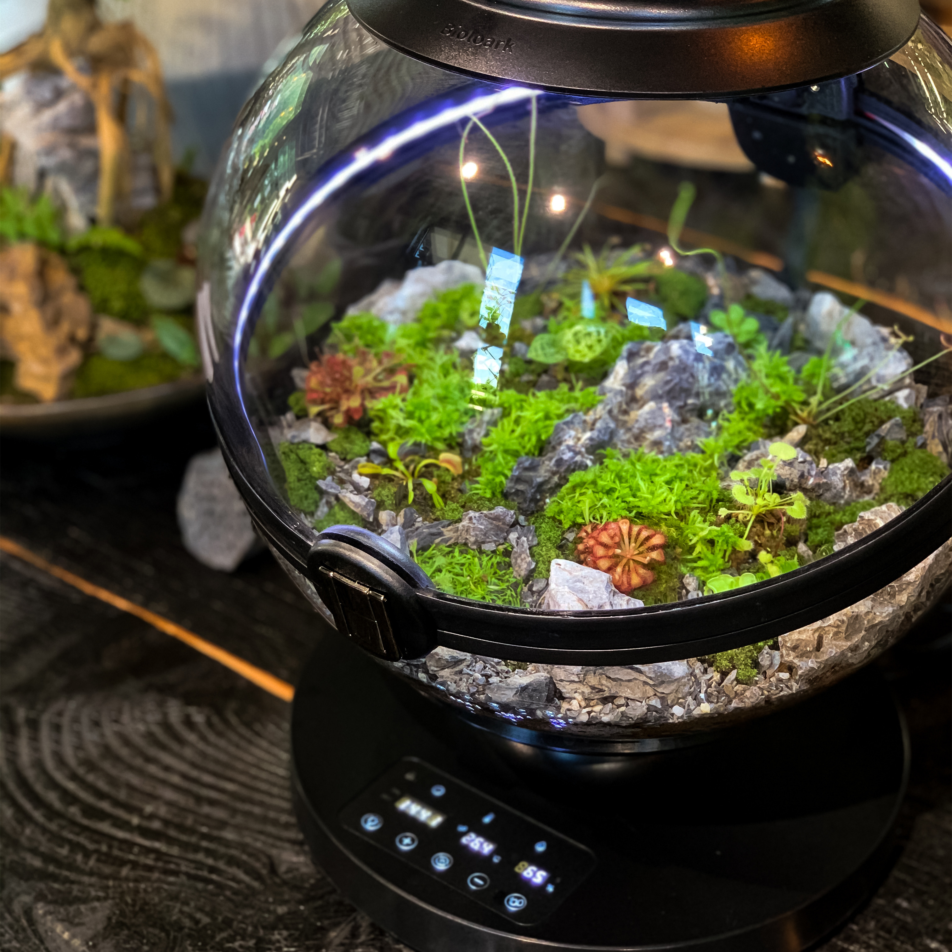 Hot Sales Acrylic Material  Ba - Aquarium Fish Sale avis et prix
