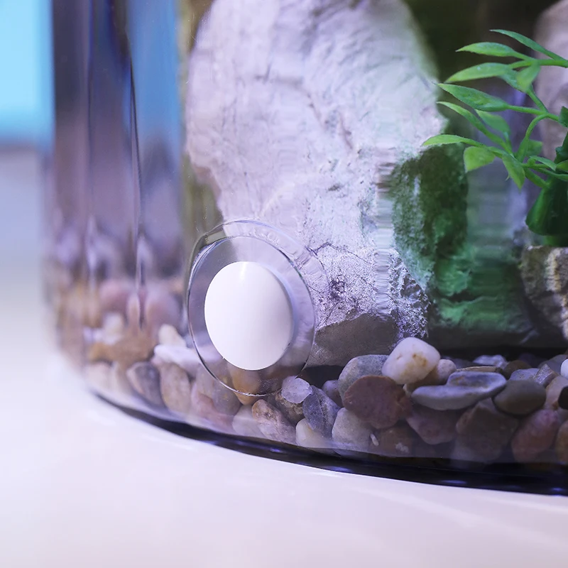 Compact Round Goldfish Bowl -  - Aquarium Fish In Bowl avis et prix