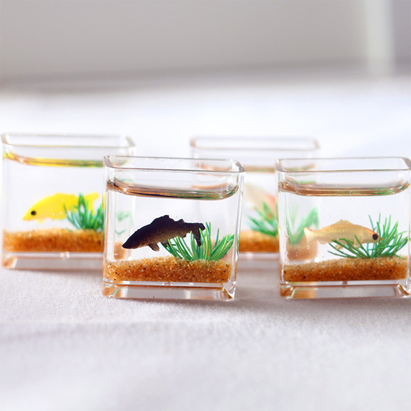 1Pc Mini Fish Tank Random Colo - Aquarium Fish Names avis et prix